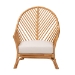 bali & pari Lisabon Bohemian Light Honey Rattan Arm Chair - BSOLISABON-Light Honey Rattan-CC
