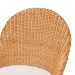 bali & pari Camelia Bohemian Light Honey Rattan Dining Chair - BSOCamelia-Light Honey Rattan-DC