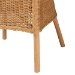 bali & pari Camelia Bohemian Light Honey Rattan Dining Chair - BSOCamelia-Light Honey Rattan-DC