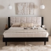 Baxton Studio Adriano Transitional Beige Fabric and Black Wood Queen Size Bed with Built-In Side Tables - BSOMG0222-2-Black/Beige-Queen