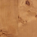 bali & pari Valora Modern and Contemporary Natural Mappa Real Burl Wood 2-Door Console Cabinet - BSOSVN-1308B-Natural Burl-Nebu-2DR-Cabinet