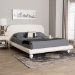 Baxton Studio Eladio Modern Luxe Ivory Boucle Fabric Queen Size Bed - BSOBBT61186.11-White-Queen