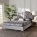Baxton Studio Acosta Glam and Luxe Light Grey Velvet Seashell-Headboard Queen Size Platform Bed - BSOCF9434-Light Grey-Queen