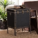 Baxton Studio Laura Vintage Black Canvas Lift-Top Trunk End Table - BSOJY23B237-Open Box Laura Black-ET