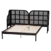 Baxton Studio Cascadia Mid-Century Modern Ebony Black Wood Queen Size Wingback Platform Bed - BSOMG0225-Ebony Black-Queen