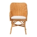 bali & pari Celsie Bohemian Light Honey Rattan Dining Chair - BSOCelsie-Light Honey Rattan Cushioned-DC