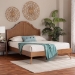 Baxton Studio Alecia Mid-Century Ash Walnut Wood Queen Size Platform Bed - BSOMG9780-1/9704-Queen