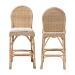 bali & pari Bilu Bohemian Natural Rattan 2-Piece Bar Stool Set - BSODC829-BS-Bilu-Light Honey Rattan-Bar Stool