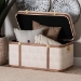 Baxton Studio Brenner Modern Transitional Beige Faux Shagreen Storage Trunk - BSOJY24A092-Large-Beige/Shagreen-Storage Ottoman