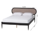 Baxton Studio Shirin Mid-Century Beige Fabric and Black Wood Queen Platform Bed - BSOMG0240-Sand Stone-FG2203-2/Black-Queen