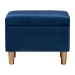 Baxton Studio Elias Modern Navy Blue Velvet Fabric Storage Ottoman - BSOJY20A250-Navy Velvet-Otto