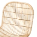 bali & pari Rosalba Bohemian Light Honey Rattan 2-Piece S-Curve Dining Chair Set - BSOS-Curve Decor-Light Honey Rattan-DC