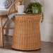 bali & pari Caroline Round Natural Rattan End Table - Handwoven Wicker Drum Shape Accent Table for Living Room or Sunroom, Light Honey - BSOCharlote-Light Honey Rattan-ET
