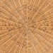 bali & pari Caroline Round Natural Rattan Coffee Table - Handwoven Wicker Drum Shape Accent Table for Living Room or Sunroom, Light Honey - BSOCharlote-Light Honey Rattan-Large-CT