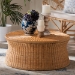 bali & pari Caroline Round Natural Rattan Coffee Table - Handwoven Wicker Drum Shape Accent Table for Living Room or Sunroom, Light Honey - BSOCharlote-Light Honey Rattan-Large-CT