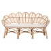 bali & pari Eliava Natural Rattan Accent Bench with Removable Cushion - Coastal Boho Style Loveseat with Scalloped Fan Back Design for Indoor Living Room or Sunroom Seating - BSOFlower-Natural-Bench