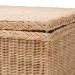 bali & pari Caden Braided Natural Rattan Chest with Lift -top Lid - Coastal Boho Style Storage Bench for Bedroom, Entryway, or Living Room Organization - BSOWS128-Natural Rattan-Storage Bench
