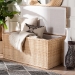 bali & pari Caden Braided Natural Rattan Chest with Lift -top Lid - Coastal Boho Style Storage Bench for Bedroom, Entryway, or Living Room Organization - BSOWS128-Natural Rattan-Storage Bench