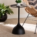 Baxton Studio Webb Black Metal Pedestal Side Table - Modern Accent Table with Round Tray Top for Indoor or Semi-Outdoor Use - BSOH01-132670-Black/Metal-Side Table