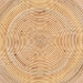 bali & pari Tokyo Laminated Natural Rattan Coffee Table - Handcrafted Bowl -Shaped Center Table for Living Room, Coastal Boho Style Furniture in Natural Brown - BSOTokyo-Natural Rattan-Coffee Table