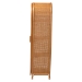bali & pari Paloma Arched Rattan Accent Cabinet with Shelves - Handwoven Cane Display Unit with Door, Boho Chic Decorative Furniture Piece for Living Room Entryway or Sunroom - BSOAyou-Light Honey Rattan-Tall Cabinet