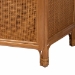 bali & pari Paloma Arched Rattan Accent Cabinet with Shelves - Handwoven Cane Display Unit with Door, Boho Chic Decorative Furniture Piece for Living Room Entryway or Sunroom - BSOAyou-Light Honey Rattan-Tall Cabinet