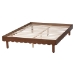 Baxton Studio Orianthe Wood Platform Bed Frame with Scalloped Edge Design - Low Profile Bed Base with Round Legs, Modern Minimalist Bedroom Furniture, Queen Size - BSOMG0245-Walnut Rattan-Bed Frame-Queen