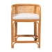 bali & pari Aria Natural Rattan Counter Stool with Backrest and Removable Cushion - Handwoven Cane Counter Height Seating for Kitchen Island or Dining Area - BSOAnia-Light Honey/Rattan-CS