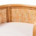bali & pari Aria Natural Rattan Counter Stool with Backrest and Removable Cushion - Handwoven Cane Counter Height Seating for Kitchen Island or Dining Area - BSOAnia-Light Honey/Rattan-CS