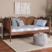 Baxton Studio Carmiya Scalloped Daybed - Twin Size Wooden Frame with Rattan Panels, Arched Boho Coastal Style Bed for Living Room or Guest Bedroom - BSOMG0211-Walnut Rattan-Daybed-Twin