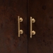 bali & pari Latika Real Burl Wood Storage Cabinet in Dark Walnut Brown - Modern Accent Cupboard with Double Doors and Brass Handles, Elegant Sideboard for Entryway, Living Room, or Dining Area - BSOSVN-789-Dark Walnut-Blopy-Cabinet