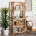 bali & pari Baara Natural Rattan 4-Tier Display Shelf - Handcrafted Bookcase with Openwork Side Panels, Boho Coastal Design for Living Room or Bedroom - BSOWS147-Natural Rattan-Tall Shelf