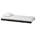 Baxton Studio Lucera Trundle - Underbed Low-Profile Rolling Base for Daybeds and Guest Rooms, Twin, Black - BSOMG24-Black-Trundle