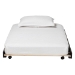 Baxton Studio Lucera Trundle - Underbed Low-Profile Rolling Base for Daybeds and Guest Rooms, Twin, Black - BSOMG24-Black-Trundle