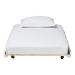 Baxton Studio Lucera Trundle - Underbed Low-Profile Rolling Base for Daybeds and Guest Rooms, Twin, White - BSOMG24-White-Trundle