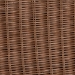 bali & pari Detta Natural Rattan Loveseat with Cushion - Handwoven Wicker Settee with Rolled Arms and Scalloped Skirt Base, Boho Coastal Style for Sunroom or Lounge - BSODetta-Peanut Brown-Rattan-Cushion-LS