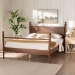 Baxton Studio Gianetta Wood Platform Bed - Traditional Poster Bed Frame with Panel Headboard and Low Profile Footboard, Classic Bedroom Furniture, Queen - BSOMG0257-Walnut-Queen
