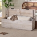 bali & pari Alvaro Wood Storage Trunk with Hinged Lid - Rectangular Blanket Chest and Bedroom Bench with Spacious Interior, Modern Farmhouse Storage Furniture for Entryway, Bedroom, or Living Room - BSOAlvaro-White Wash-Wooden-Bench-Boxed