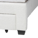 Baxton Studio Caradonna Cream Teddy-Bear Fabric Bed with Storage Drawers - Fully Upholstered Platform Bed with Scalloped Headboard, Queen - BSOSP1072-B-CF0034-Cream Teddy-Bear Fabric -Queen
