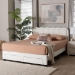 Baxton Studio Caradonna Cream Teddy-Bear Fabric Bed with Storage Drawers - Fully Upholstered Platform Bed with Scalloped Headboard, Queen - BSOSP1072-B-CF0034-Cream Teddy-Bear Fabric -Queen