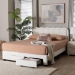 Baxton Studio Caradonna Cream Teddy-Bear Fabric Bed with Storage Drawers - Fully Upholstered Platform Bed with Scalloped Headboard, Queen - BSOSP1072-B-CF0034-Cream Teddy-Bear Fabric -Queen