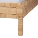 bali & pari Kalimantan Natural Rattan Bed - Coastal Boho Style Bed Frame with Woven Detailing, Queen - BSOBraided Peel-Light Honey-Wood/Rattan-Queen
