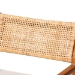 bali & pari Chatura Natural Rattan and Mahogany Wood 2-Piece Dining Armchair Set - Handwoven Wicker Dining Chair with Angled Back, Coastal Boho Seating for Dining or Kitchen - BSOChao-Natural/Mahogany-Arm-DC-Cushion-KD-Box