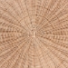 bali & pari Latoya Natural Rattan Coffee Table - Handwoven Round Wicker Table with Scalloped Apron and Lower Shelf, Coastal Boho Living Room Accent Furniture - BSOWS182-Natural Rattan-Coffee Table