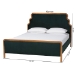 Baxton Studio Gerianne Velvet Upholstered Platform Bed - Classic European Bed Frame with Scalloped Headboard and Wood Trim, Modern Luxe Bedroom Furniture, Queen - BSOBBT61381-Green 26/Walnut-Queen