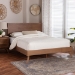 Baxton Studio Jiro Platform Bed - Mid-Century Modern Wood Bed Frame with Panel Headboard and Angled Legs for Bedroom or Guest Room, Queen - BSOJiro-Ash Walnut-Queen