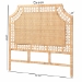 bali & pari Hekima Natural Rattan Standalone Headboard - Coastal Boho Style Handwoven Wicker Bed Backdrop, Queen - BSOWS228-Honey-Rattan-HB-Queen