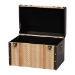Baxton Studio Manton Storage Trunk - Decorative Storage Chest with Hinged Top and Woven Exterior for Living Room or Bedroom - BSOJY25B016-Large-Wooden Trunk