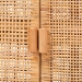 bali & pari Vivan Natural Rattan Storage Cabinet - 2-Tier Handwoven Wicker Accent Cabinet with Double Doors and Elevated Base, Natural Brown - BSOVivan-SVN2630A-Natural-Cabinet