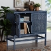 bali & pari Vivan Natural Rattan Storage Cabinet - 2-Tier Handwoven Wicker Accent Cabinet with Double Doors and Elevated Base, Navy Blue - BSOVivan-SVN2630NB-Navy Blue-Cabinet